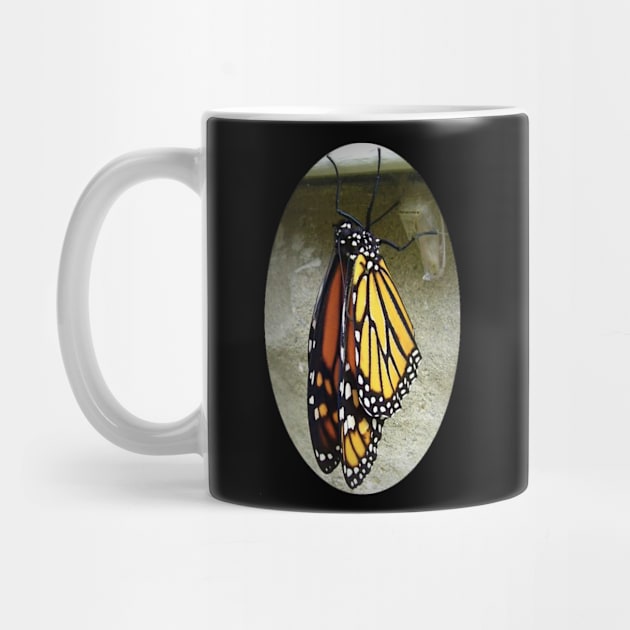 Monarch Butterfly by ARTWORKandBEYOND